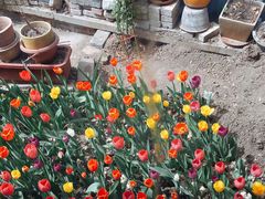 -斯多格书乡(北京大学畅春园店)