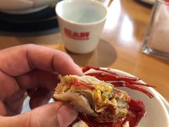 -旺小胖小龙虾