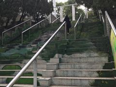 -九龙公园