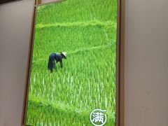 -小满手工粉(北京顺义华联店)