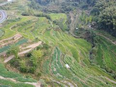 -灵山景区梯田