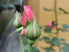 -杭州上天竺法喜讲寺