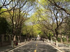 iphone_upload_pic-八大关景区