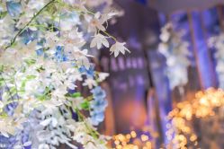 -曼格纳婚礼艺术中心(张江店)