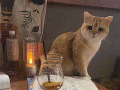 -咖法森林·咖啡  酒吧(天河店)