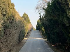 -秦始皇帝陵博物院-丽山园