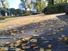 -两江幸福广场