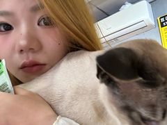 -豆逗聊愈猫阁Easy Life