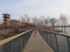 -东郊湿地公园