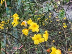 -西南民族大学南区(双流校区)