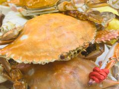 -集品鲜湾·蒸汽海鲜自助料理(青岛银座和谐广场店)
