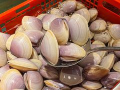 -亚马逊蒸汽活海鲜自助(LCM置汇旭辉广场店)