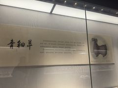 -宣城市博物馆
