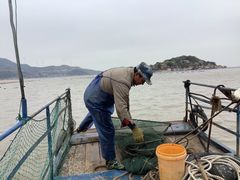 -大京沙滩