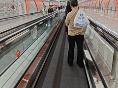 -华西坝(地铁站)