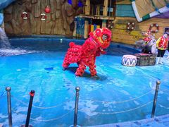 -烟台海昌鲸鲨海洋公园