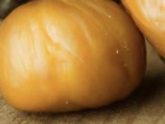 -金栗王(清扬路店)