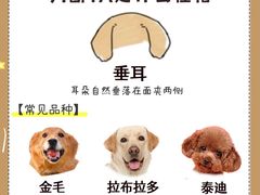 -守诺宠物医院·眼科· 特色牙科·异宠专科(虹口店)