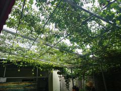 院子-伊隆斋(什刹海店)