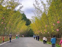 -婺源月亮湾