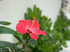 -濑长岛