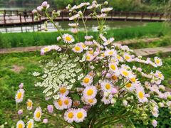 -白鹭湾湿地公园