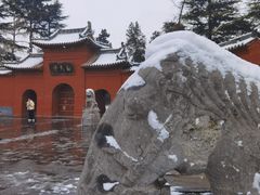 -洛阳白马寺