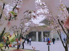 -龙美术馆(西岸馆)