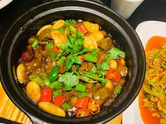 -陈麻婆豆腐总店