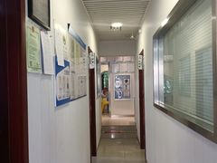 -守诺宠物医院·眼科· 特色牙科·异宠专科(虹口店)