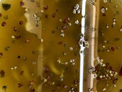 -绿岛国际酒店·海鲜酒楼(八七路店)