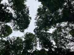 -上海怡沁园度假酒店