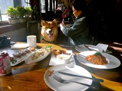 -百好乐宠物友好餐厅(朝外大街店)