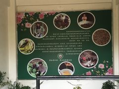 -茶油香闽南菜·花园餐厅(前埔店)