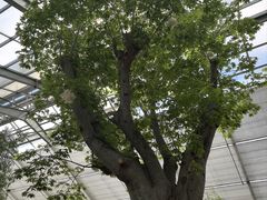 -南通洲际绿博园