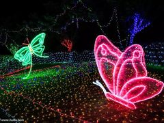 -哈尔滨文化公园