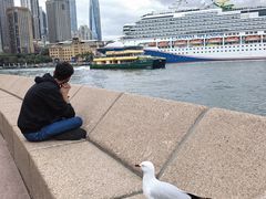 -悉尼歌剧院