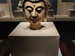 -宁夏博物馆