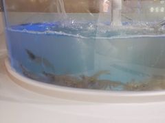 -藜爱·山海情海鲜自助(万达广场店)