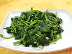 -茂港柏香(侨港路店)