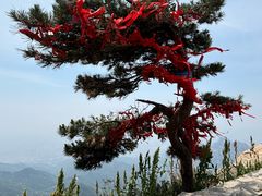 -泰山风景名胜区