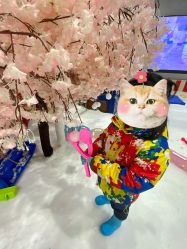 -Mr·Kuma酷么先生雪之乐园