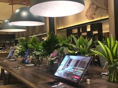 -新加坡瑞士史丹福酒店