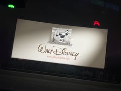 -枫花园汽车电影院(朝阳公园店)