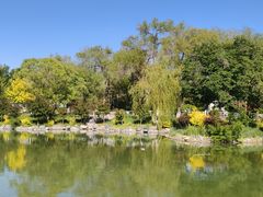 -鲤鱼山公园