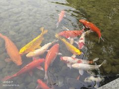 -杭州西湖丝绸文化博物馆