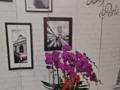 -泰康拜博口腔(世博园乐尔店)