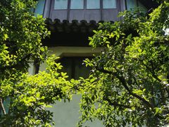 -拙政园