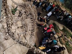 -自贡恐龙博物馆