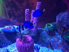 -沈阳海洋探索中心